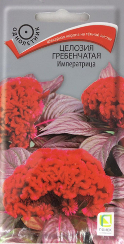 Целозия Императрица гребенчатая Ц Поиск