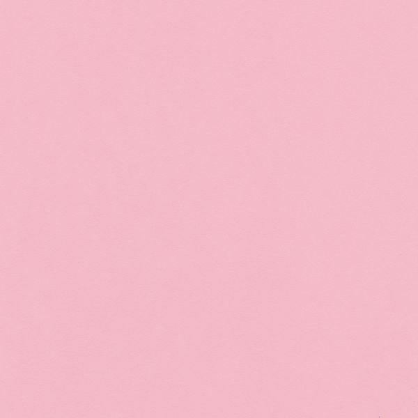 Бумага цветная 120 г/м², A4 21х29.7 см, 50 шт, 13 светло-розовый/light pink, Vista-Artista MPO-A4