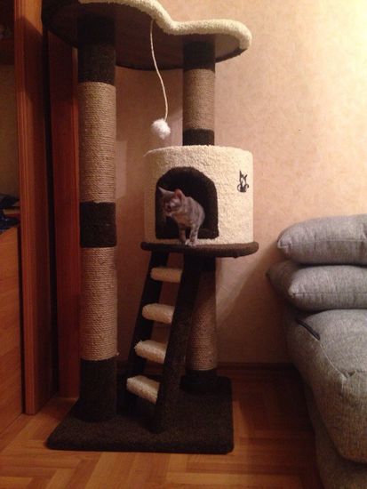 Дом для кошки Н-7