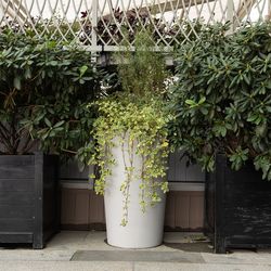 Кашпо CONUS SHALE D39 H60