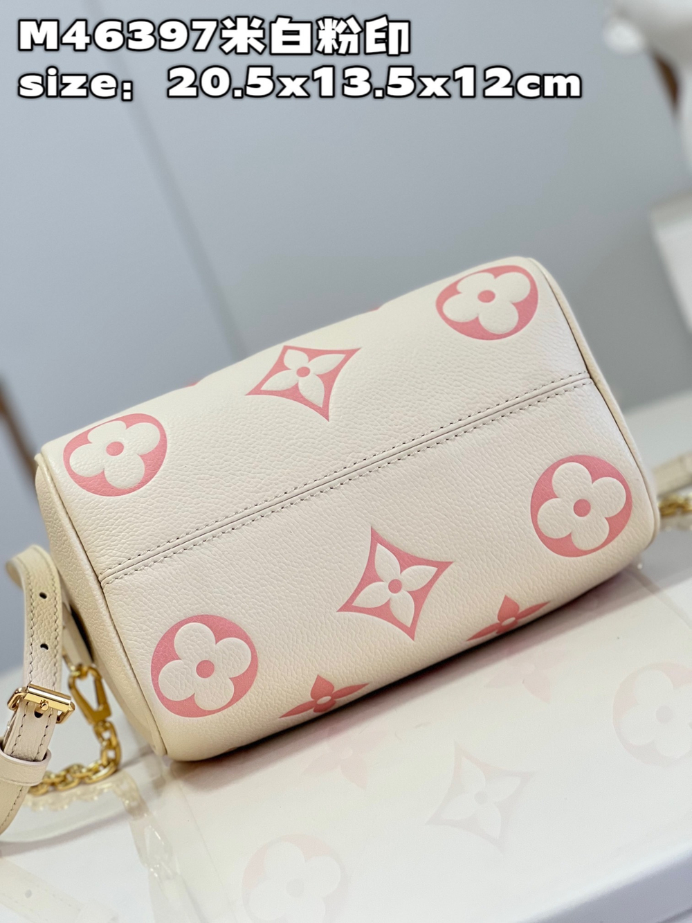 Louis Vuitton Speedy 20