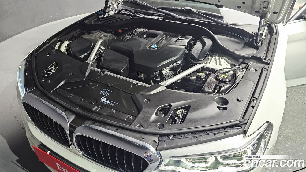 BMW 5 Series (G30) 530i xDrive M Sports Plus (08.2019)