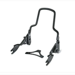 52300258 ДУГА СПИНКИ ПАССАЖИРА TOURING