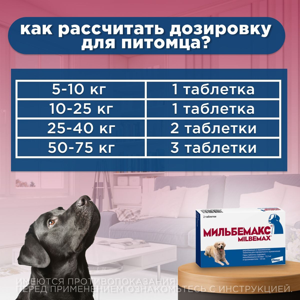 Таблетки против гельминтов Мильбемакс глистогон для кошек до 2кг и котят