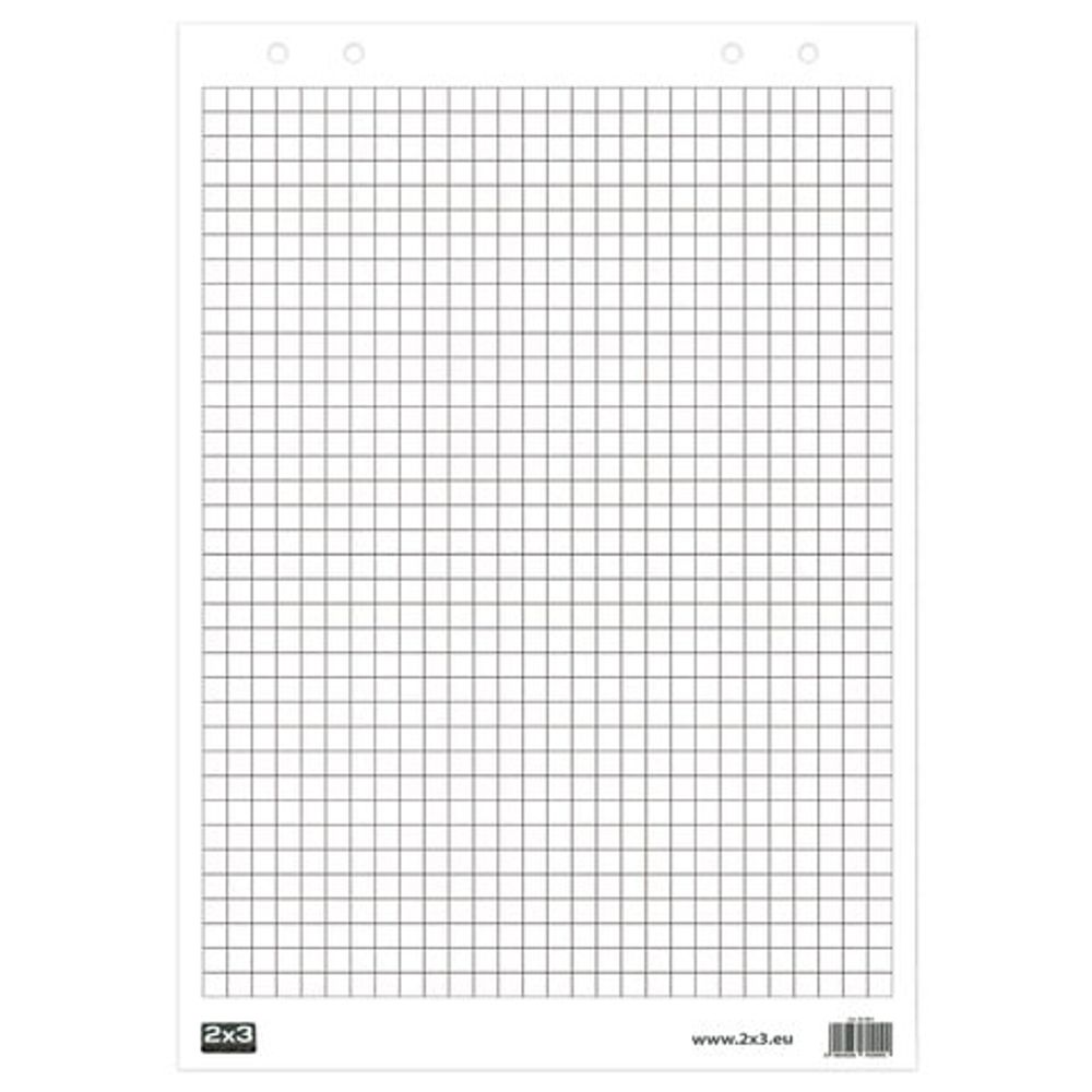 Блокнот для флипчарта "2х3" ("Дважды три", Польша), 30 листов, клетка, 58х83 см, B01