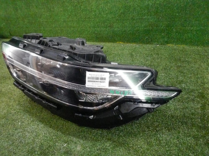 DSCN6574.jpg