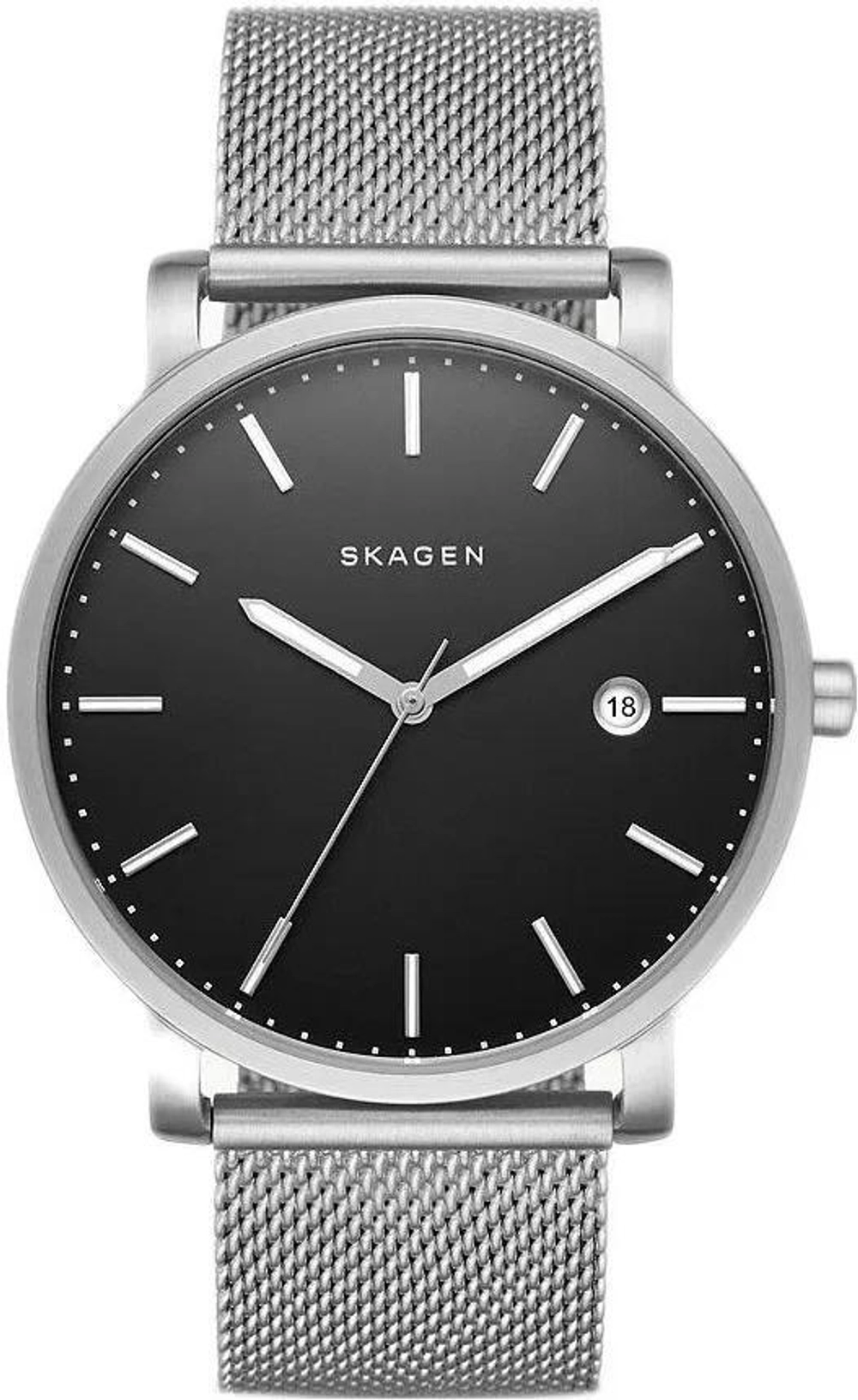 Мужские наручные часы Skagen SKW6314