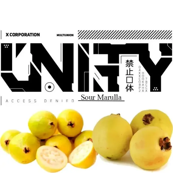 UNITY 2.0 - Sour Marula (100г)