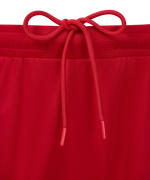 Шорты баскетбольные JÖGEL DIVISION PerFormDRY Shorts R2, красный