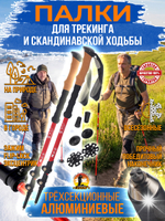 Палки для трекинга, скандинавский ходьбы/ телескопические Carbon pole EVA grip /2 шт, цвет черный