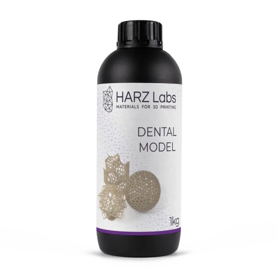 HARZ Labs Dental Model Beige