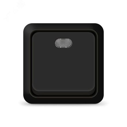 Выключатель одноклавишный с подсветкой UNIVersal  "Олимп", о/у, 10А, 220В, черный (1/200)