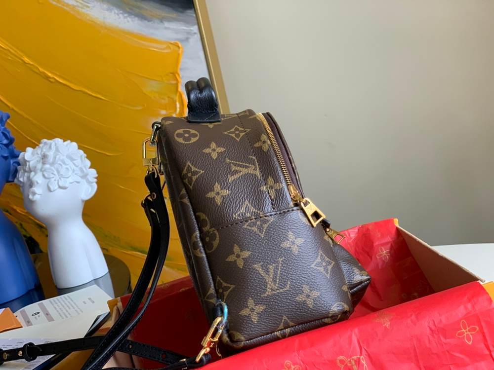 Louis Vuitton Palm Springs Mini