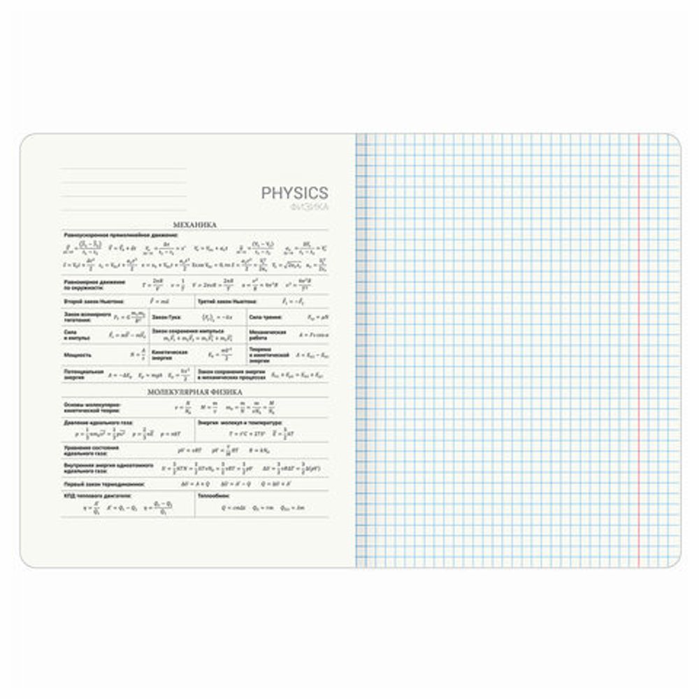 Тетрадь предметная "КОТ-ЭНТУЗИАСТ" 48 л., TWIN-лак, ФИЗИКА, клетка, подсказ, BRAUBERG, 404566