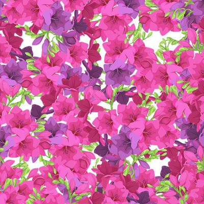 Красивые цветы фрезии. Весенний рисунок