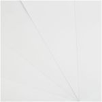 Папка для черчения А3, 10л, 160г/м2, BG