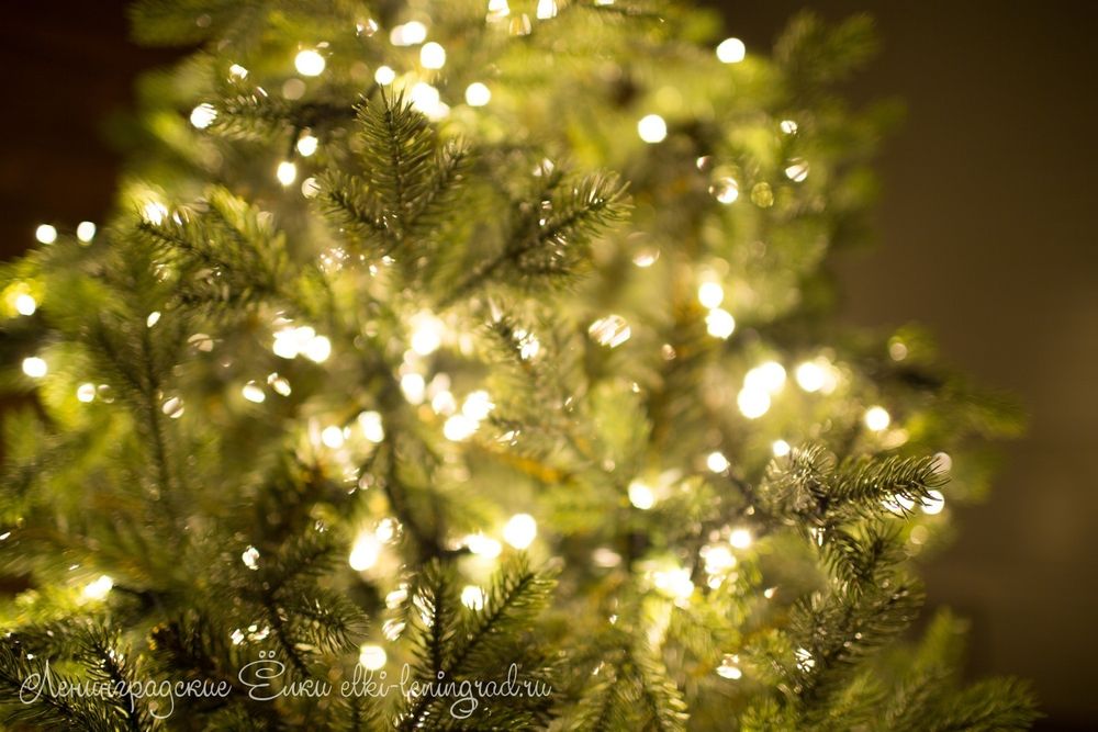 "ГРАЦИО ПРЕМИУМ" Светящаяся 18