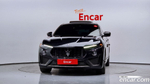 Maserati Levante 3.8 Trofeo (12.2020)