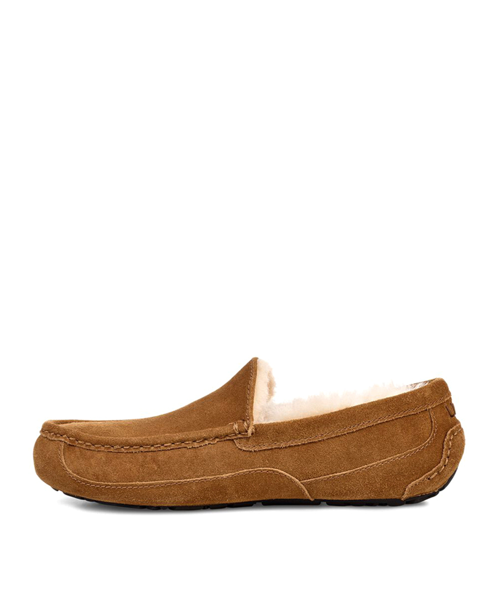ASCOT MENS chestnut