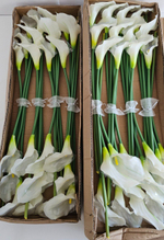 Калла одиночная / Арт 2027