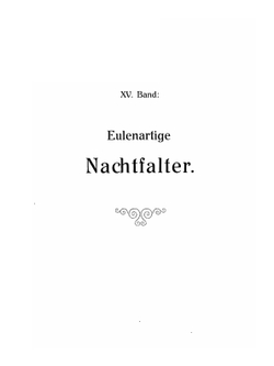 Die Gross-Schmetterlinge der Erde | Adalbert Seitz