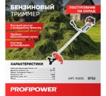 Триммер бензиновый PROFIPOWER БТ52 (2 коробки - мотор + штанга) (F0015)