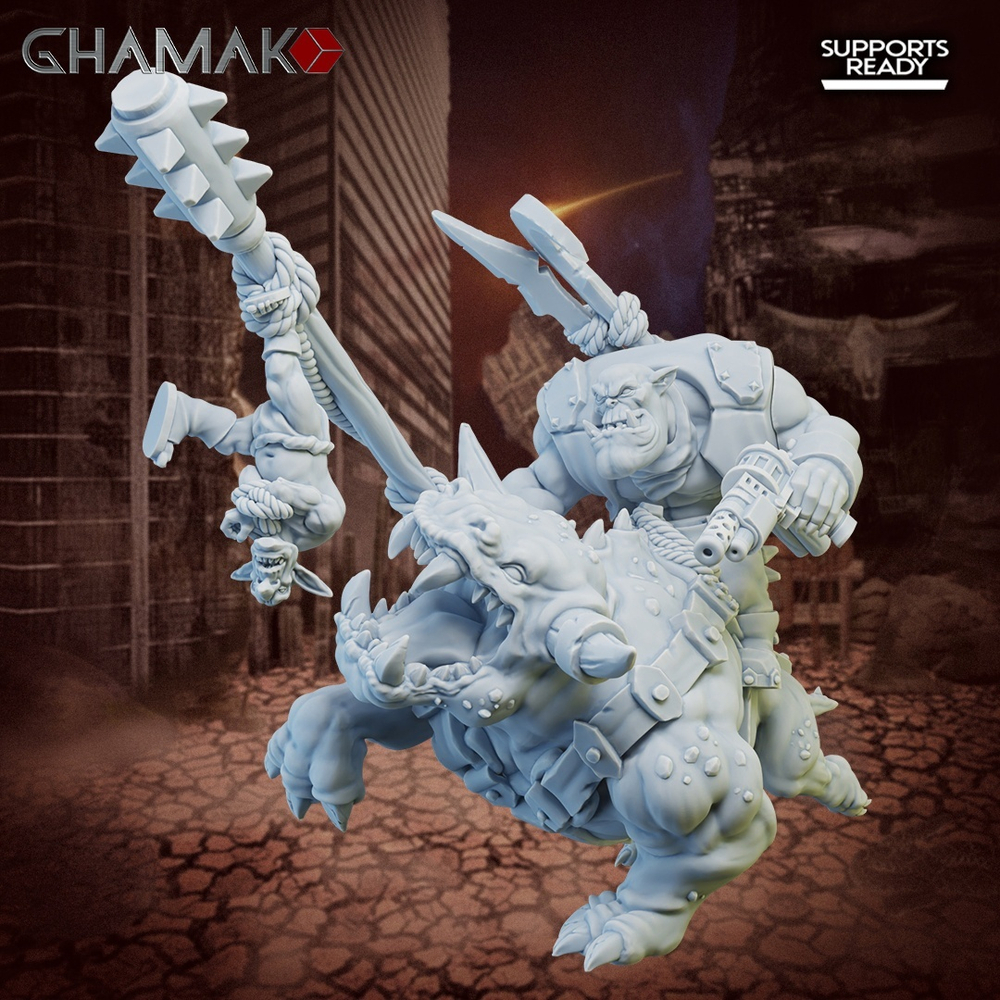 Ork Hard Zwig Boy 2