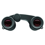 Бинокль Carl Zeiss Victory Pocket 10x25, черный