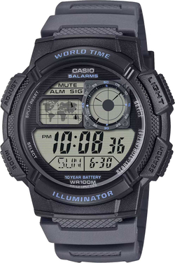 Часы Casio AE-1000W-8A