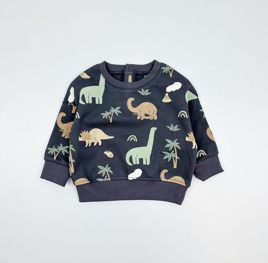 Свитшот "Динозавры" из футера с начесом, Графит