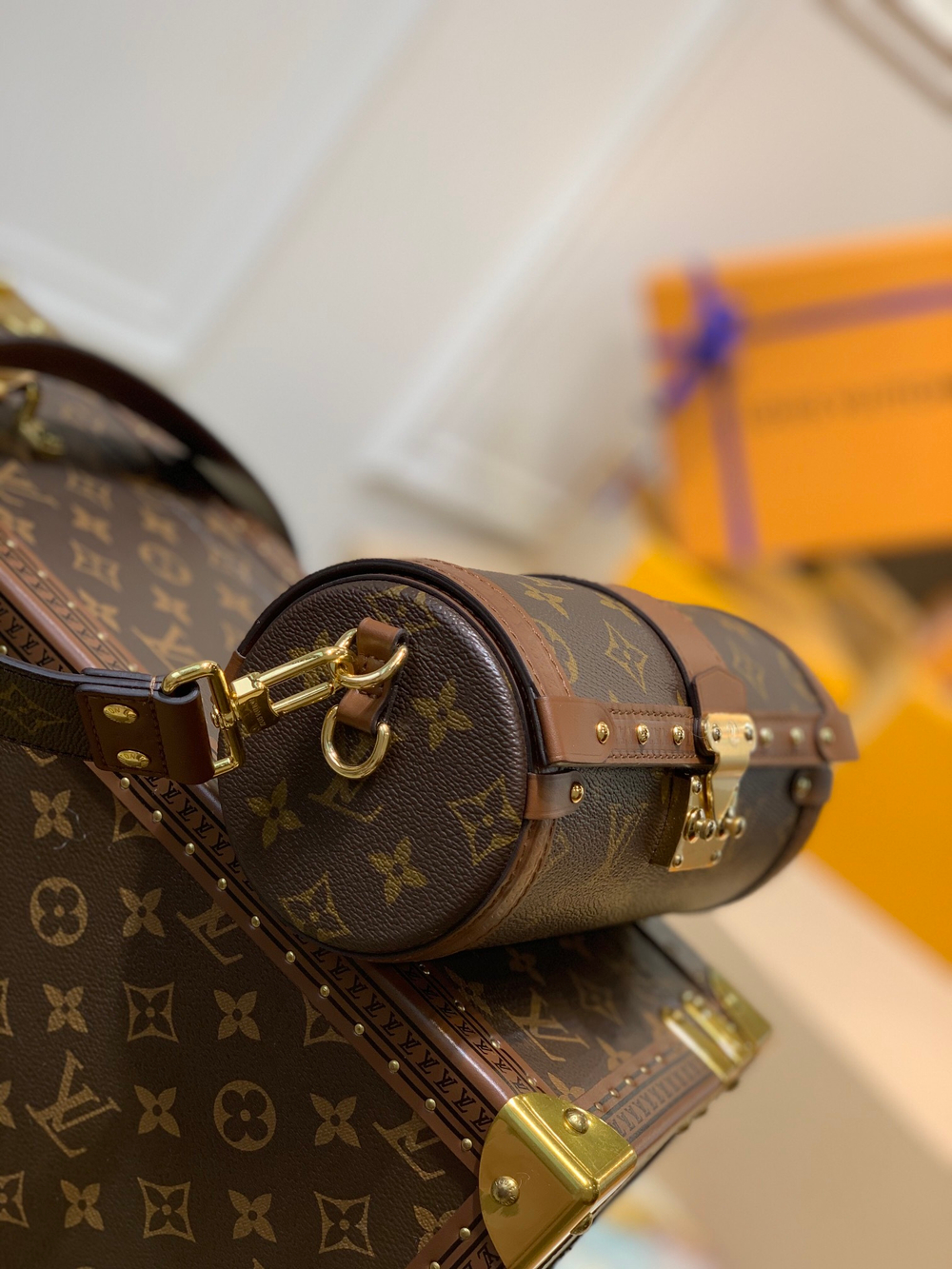 Louis Vuitton Papillon Trunk