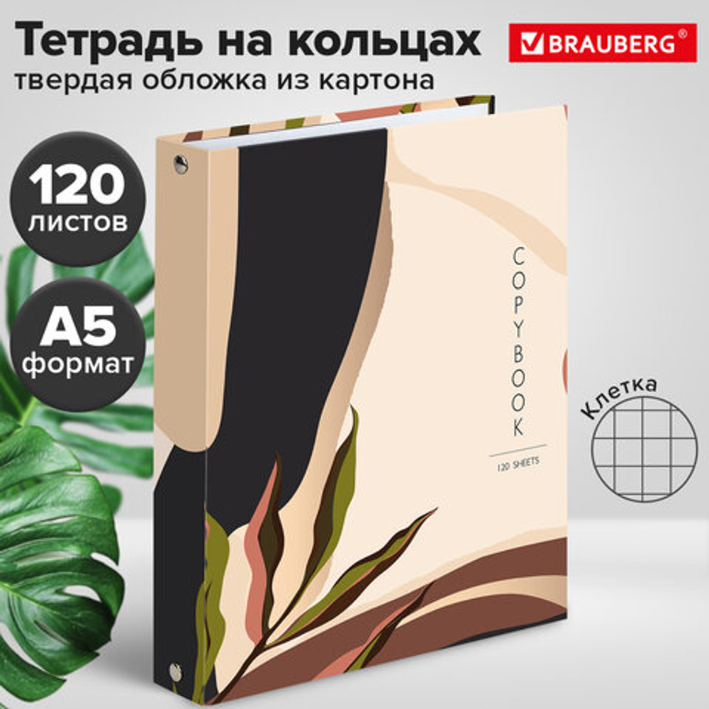 Тетрадь на кольцах А5 175х215мм, 120л, твердый картон, клетка, BRAUBERG, Vision, 404075