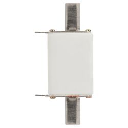 Плавкий предохранитель ЭРА PRO ppn-33-0-40 ППН-33, габарит 0, 40А | Плавкие предохранители