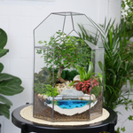 Готовый флорариум бонсай Японский вяз Бонсариум XL с озером