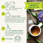 Traditional Medicinals, Herbal Teas, органический лимонный имбирь, без кофеина, 16 чайных пакетиков, 32 г (1,13 унции)