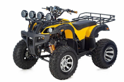 Квадроцикл RAPTOR MAX PRO 250 (жёлтый/чёрный)