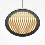 Подвесной светодиодный светильник Maytoni El MOD041PL-L15WG3K