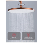 Душевая система Raglo R20.24.33, матовая медь