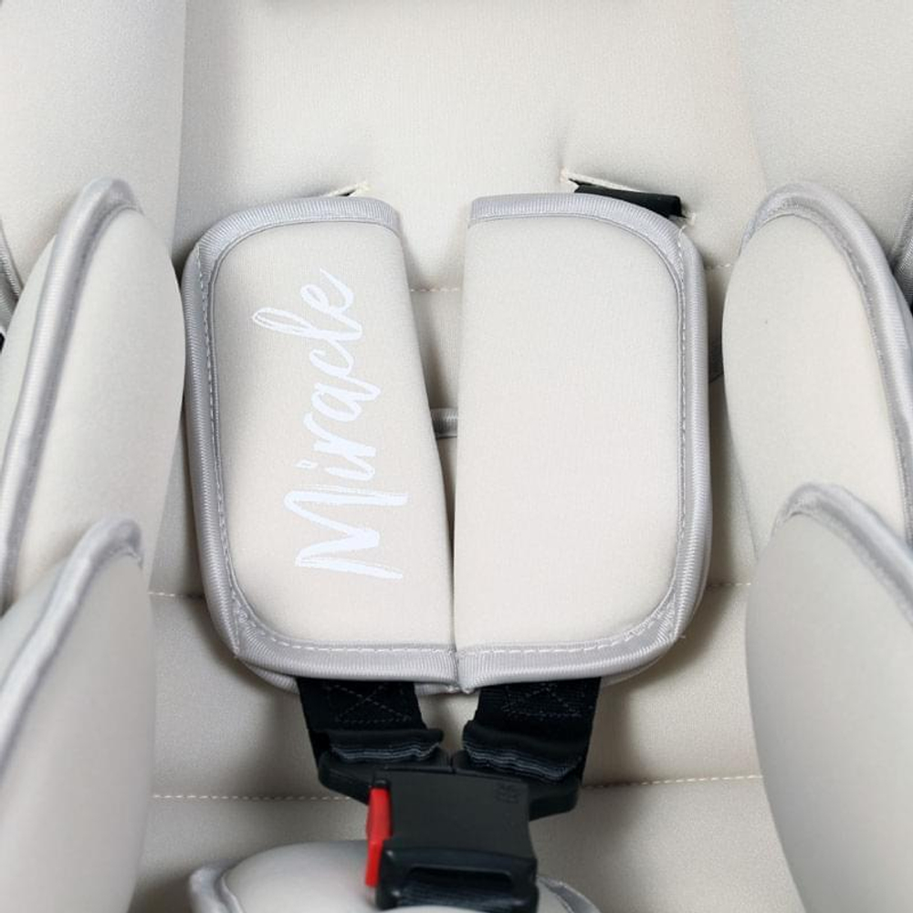 Автокресло Rant "Miracle" Dream Line (Grey) группа 0+  (0-13 кг)