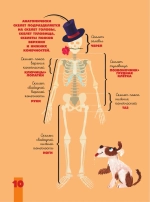 Тело человека