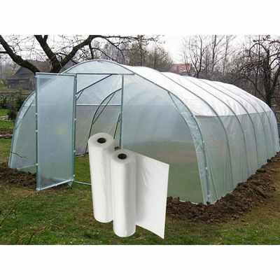 Пленка парниковая 3000*200мкм 100м