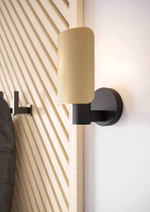 Настенный светильник Eglo HAYES 900375