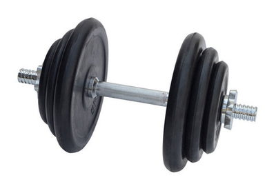 Гантели разборные 1 по 19 кг