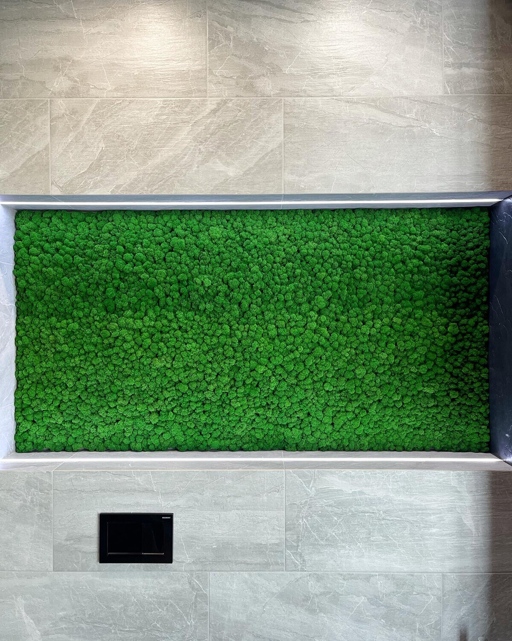 Мох ягель зелёная трава GR 500 гр.