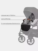 Коляска BELLA LUX (2 в 1) (RIKO BASIC)