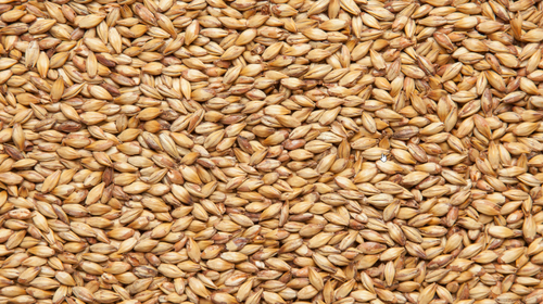 Солод ячменный пивоваренный "Château Cara Ruby" (Кара Руби), Castle Malting (Бельгия)