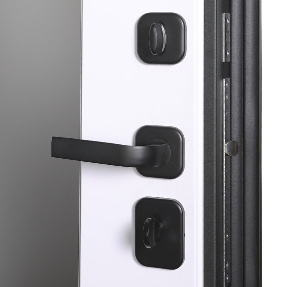 Стальная дверь "Scandi" с зеркалом