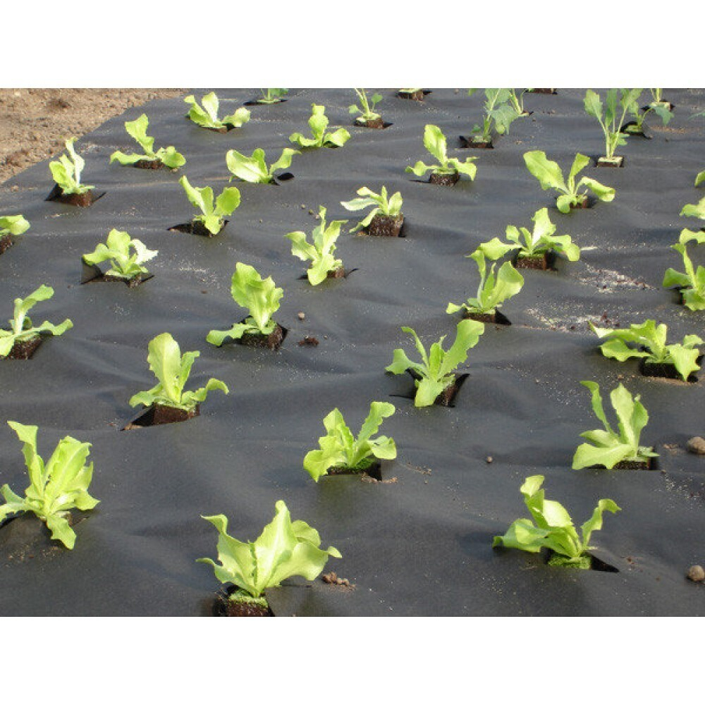 Укрывной материал.PRIVAL  (АгроСпанбонд СУФ -60 черный,2,1х10м)