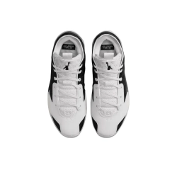 Мужские кроссовки Air Jordan 39 'Barons' FQ0213-010