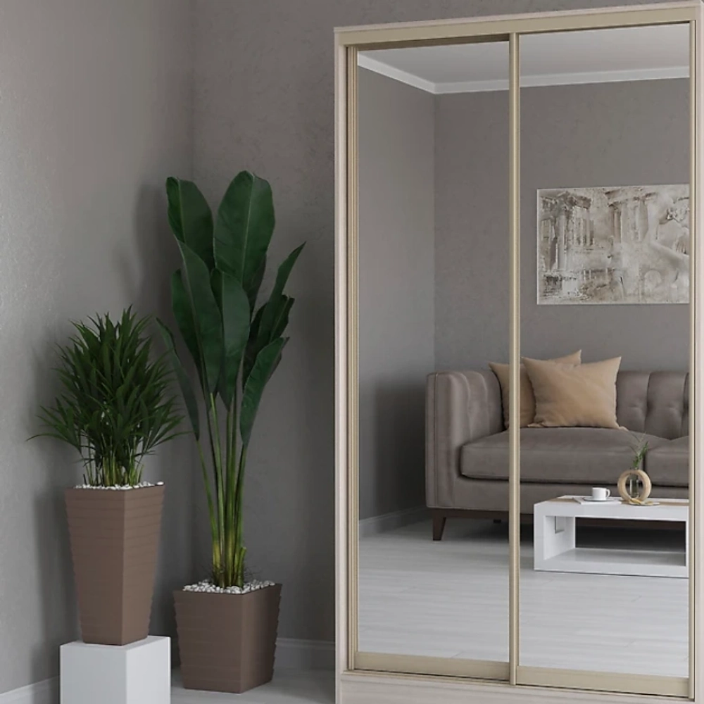 Дверь-купе NAIDY С, зеркало, профиль береза нордик